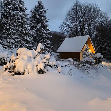 Domek Gorski Na Polanie Goryczkowej 700 M Npm - Szczyrk Dojazd Samochodem Terenowym, W Zimie Utrudniony - Wymagane Lancuchy Exteriér fotografie
