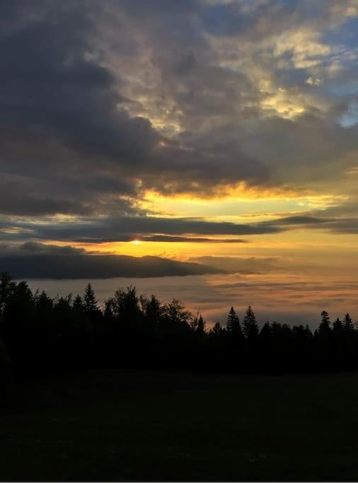 Domek Gorski Na Polanie Goryczkowej 700 M Npm - Szczyrk Dojazd Samochodem Terenowym, W Zimie Utrudniony - Wymagane Lancuchy Exteriér fotografie
