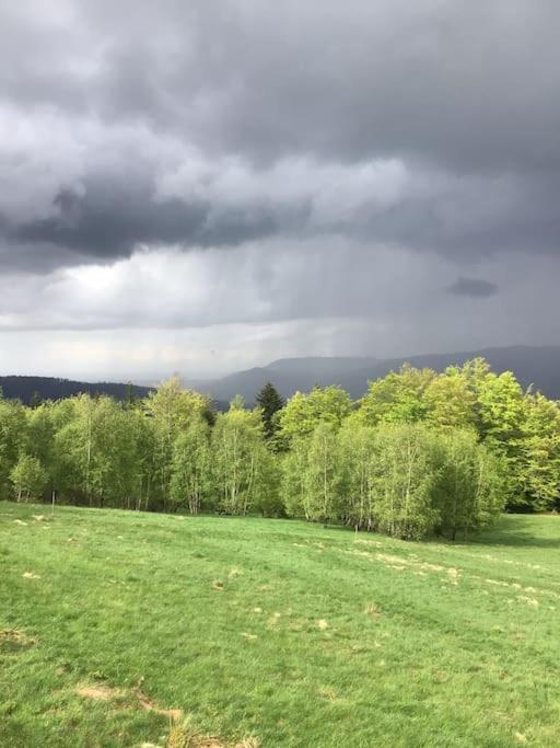 Domek Gorski Na Polanie Goryczkowej 700 M Npm - Szczyrk Dojazd Samochodem Terenowym, W Zimie Utrudniony - Wymagane Lancuchy Exteriér fotografie